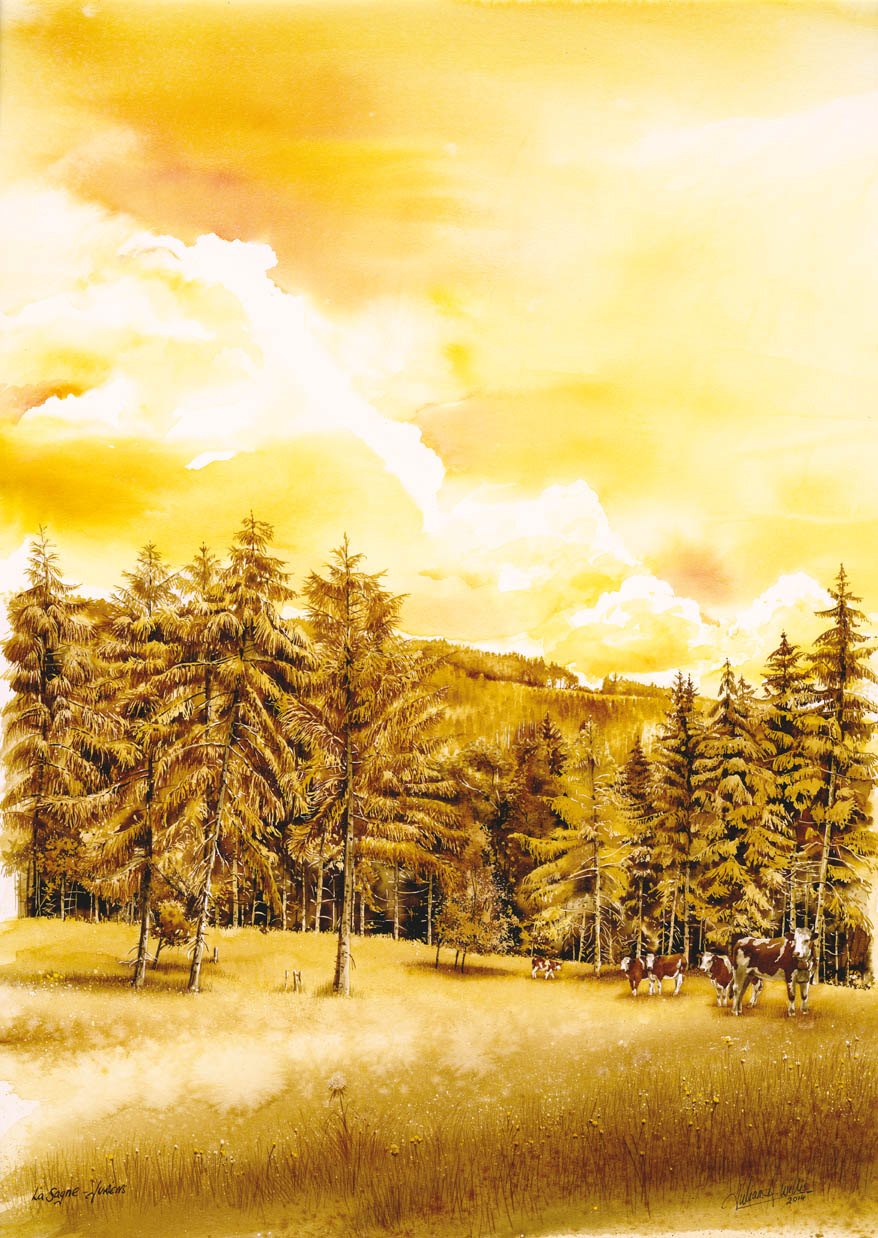 La Sagne, sur Juriens. Les sapins et le troupeau dans une lumière de fin d'après-midi.