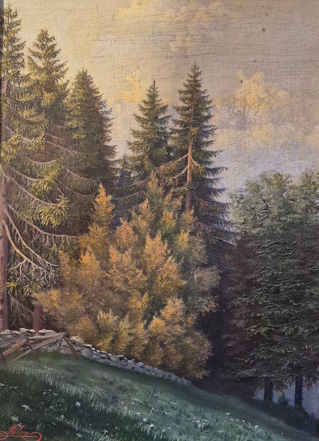 Forêt